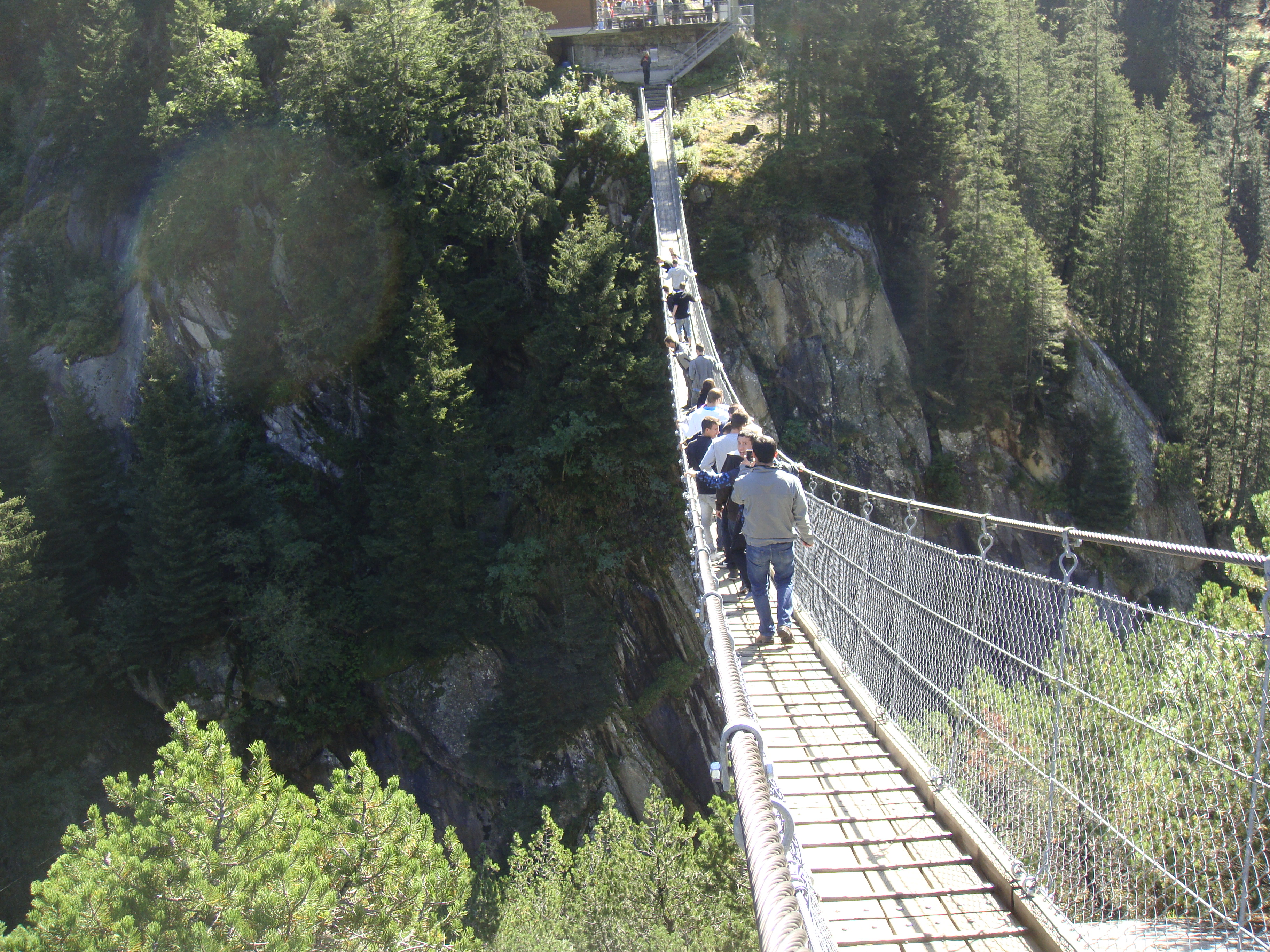 2011 (8)