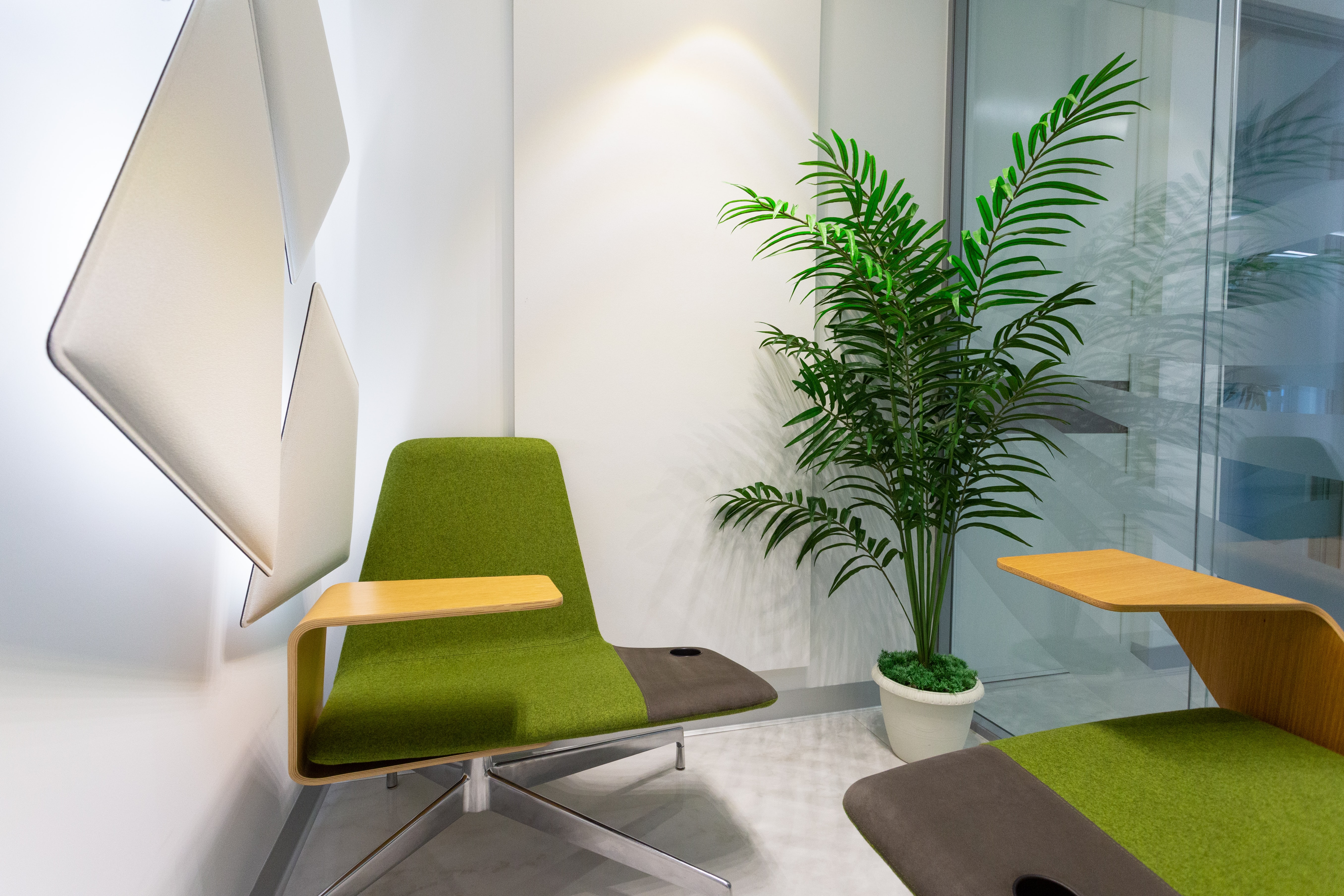 Petr Magera - Innenraum mit Pflanze