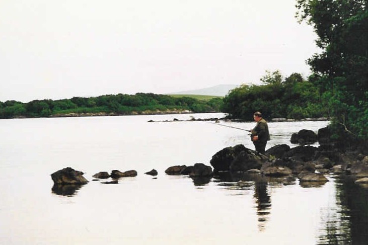 2001(14)